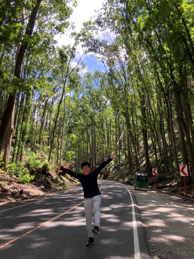 Bilar man-made forest, bohol