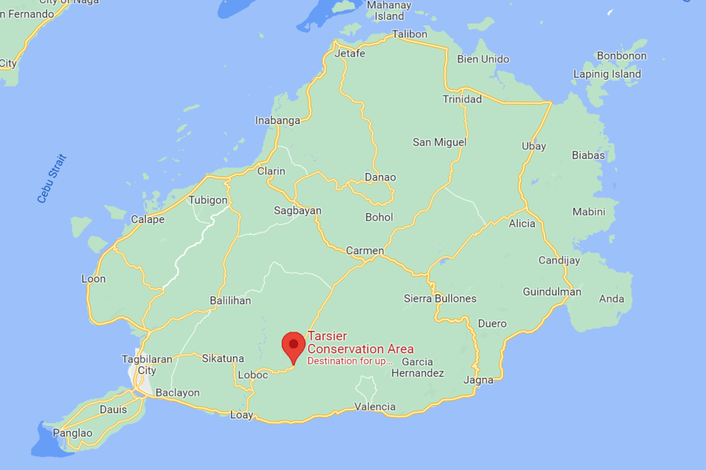 Tarsier Conservation Area Located On Map