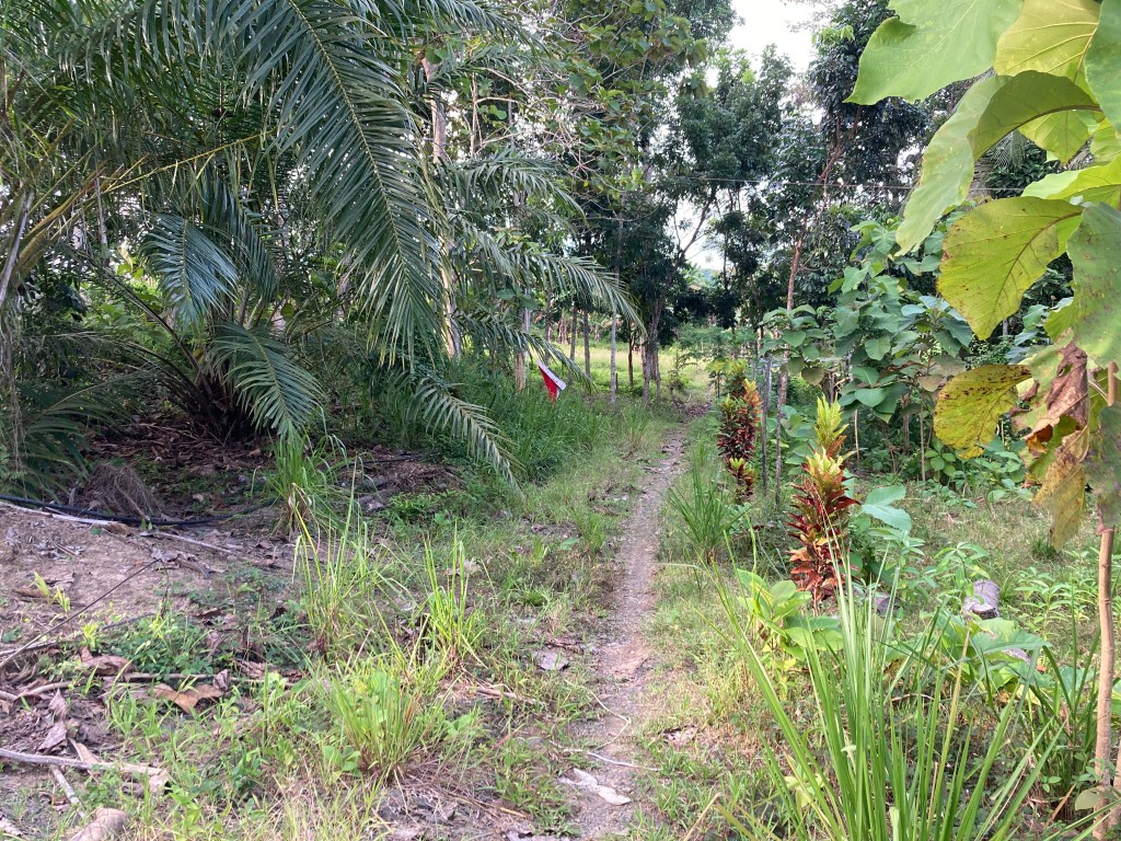 Pulau Sebatik 边界